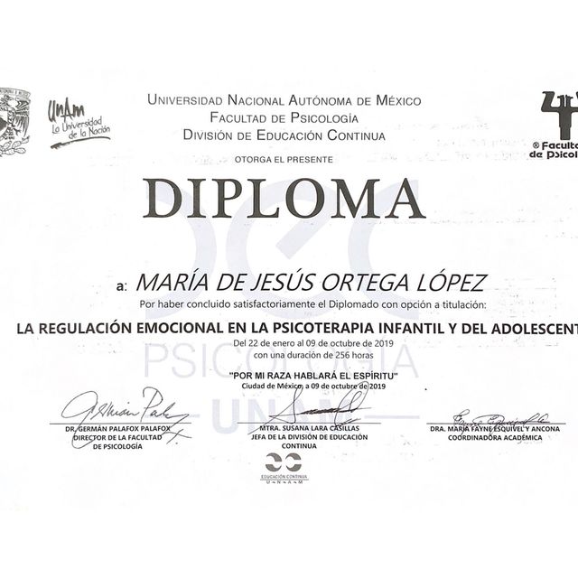 Ampliar imagen: certificate 2