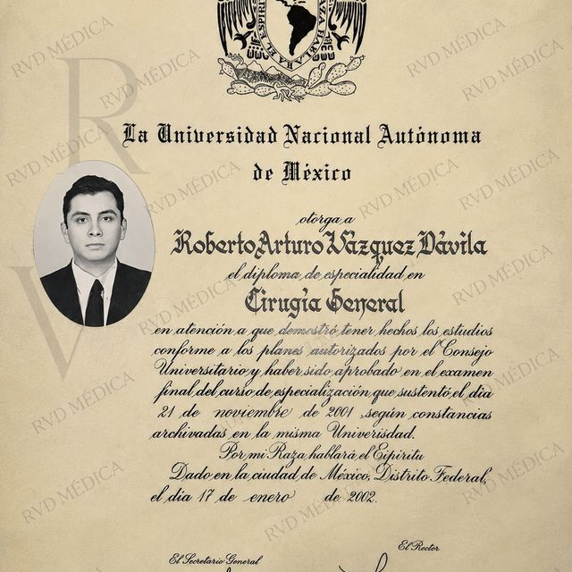 Ampliar imagen: certificate 2