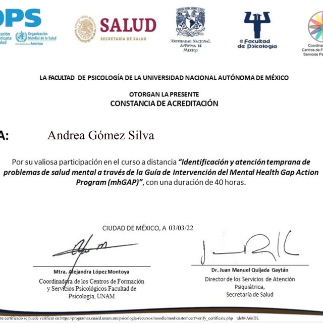 Ampliar imagen: certificate 7