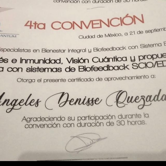 Ampliar imagen: certificate 25