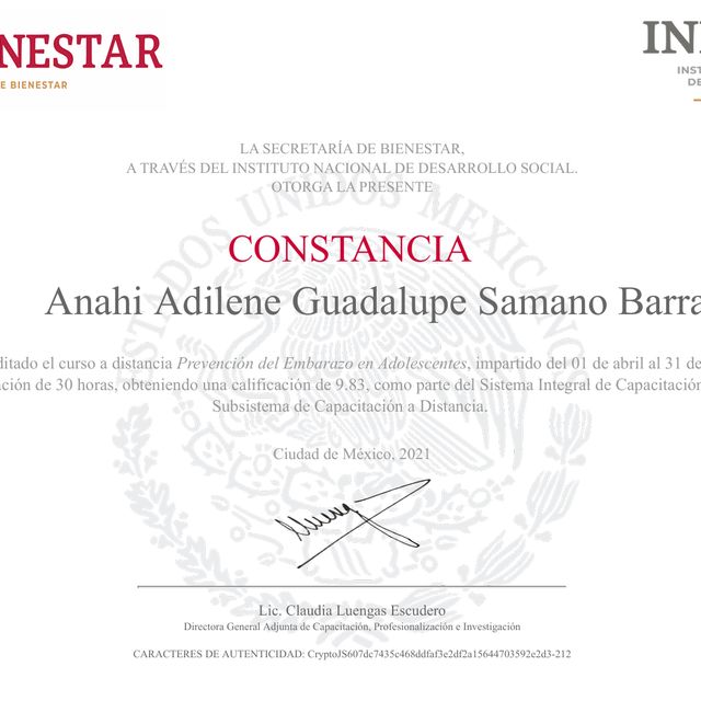Ampliar imagen: certificate 3