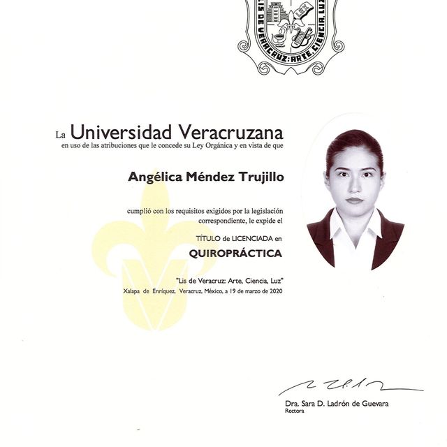 Ampliar imagen: certificate 15