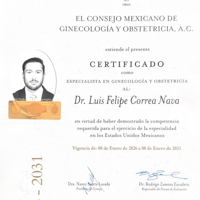 Ampliar imagen: certificate 1