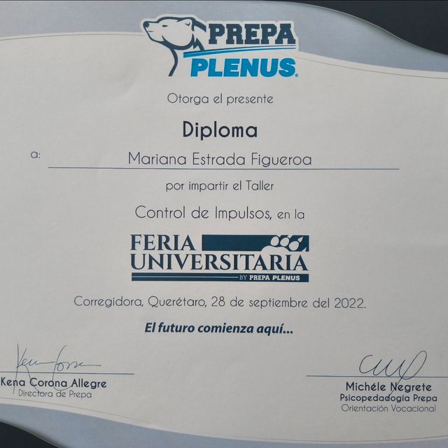 Ampliar imagen: certificate 6