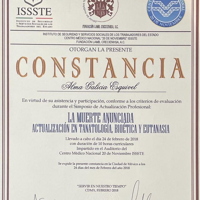 Ampliar imagen: certificate 11