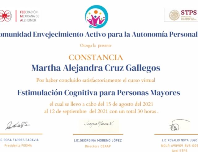 Ampliar imagen: certificate 3