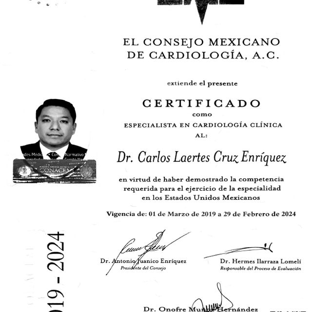 Ampliar imagen: certificate 4
