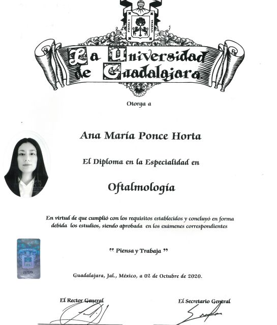 Ampliar imagen: certificate 3