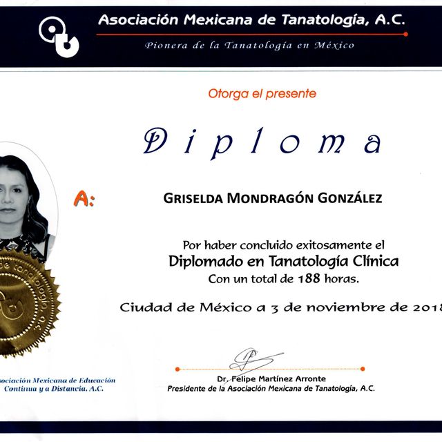 Ampliar imagen: certificate 4