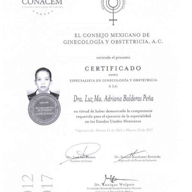 Ampliar imagen: certificate 3