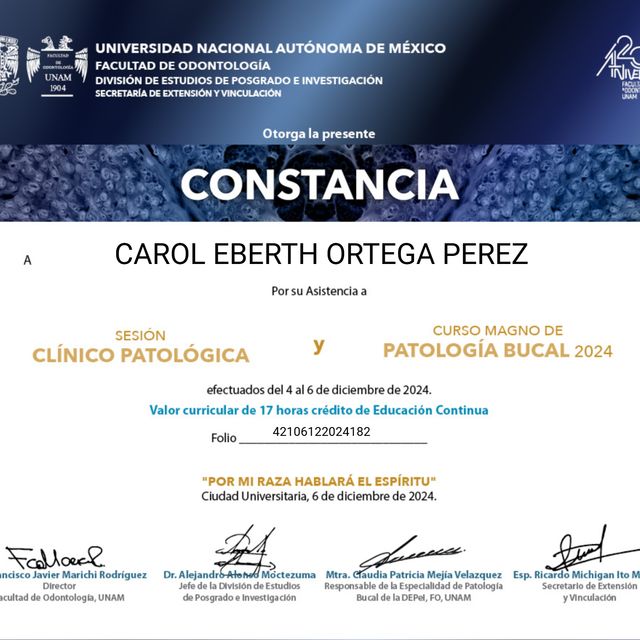 Ampliar imagen: certificate 1