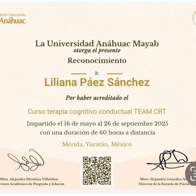 Ampliar imagen: certificate 6