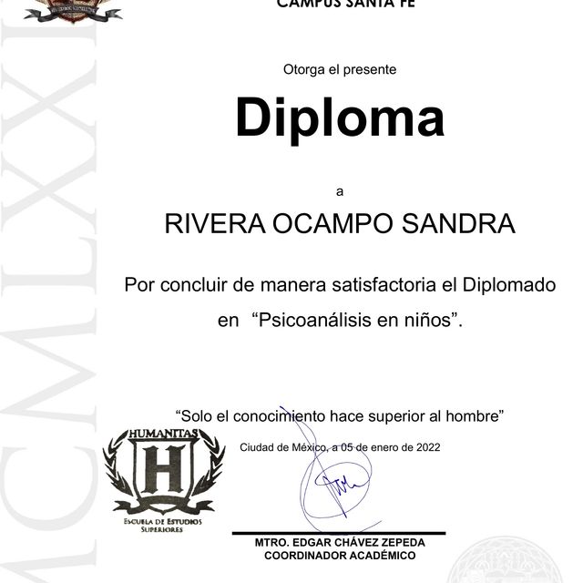 Ampliar imagen: certificate 2