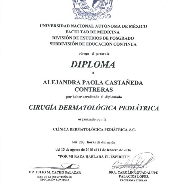 Ampliar imagen: certificate 20