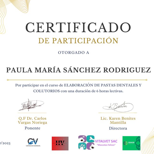Ampliar imagen: certificate 26