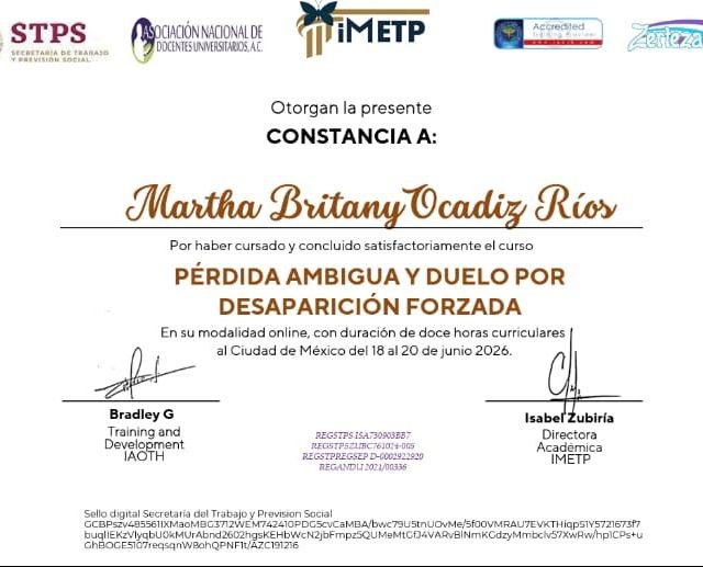 Ampliar imagen: certificate 4