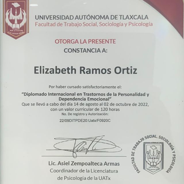 Ampliar imagen: certificate 8