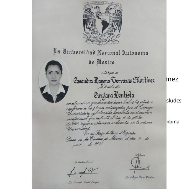 Ampliar imagen: certificate 1