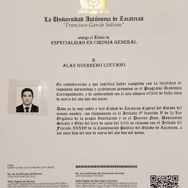 Ampliar imagen: certificate 4