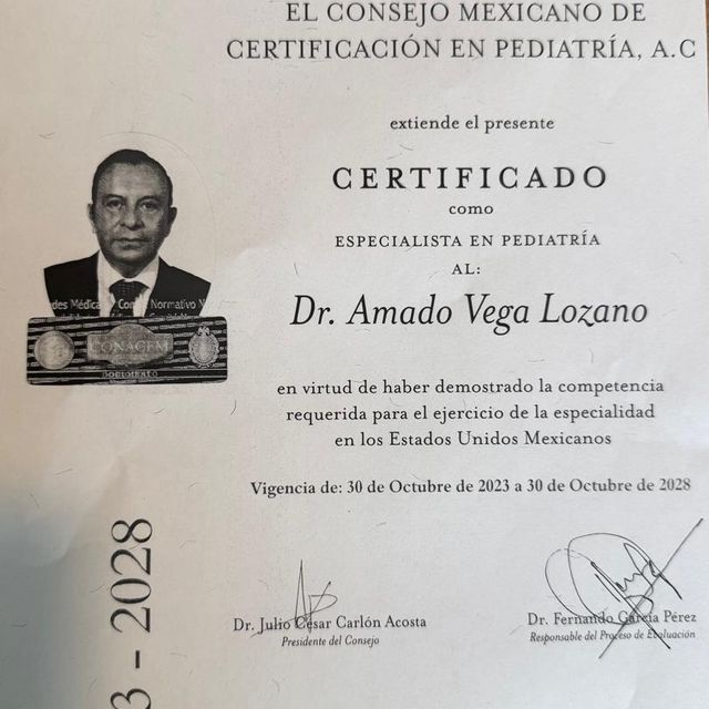 Ampliar imagen: certificate 2