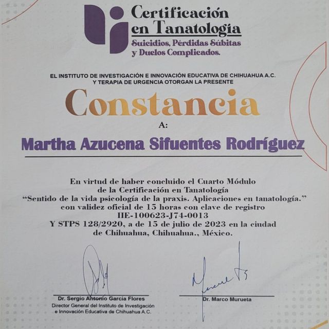 Ampliar imagen: certificate 3