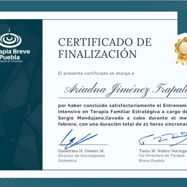 Ampliar imagen: certificate 4