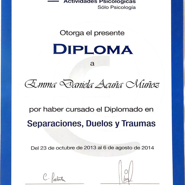 Ampliar imagen: certificate 5