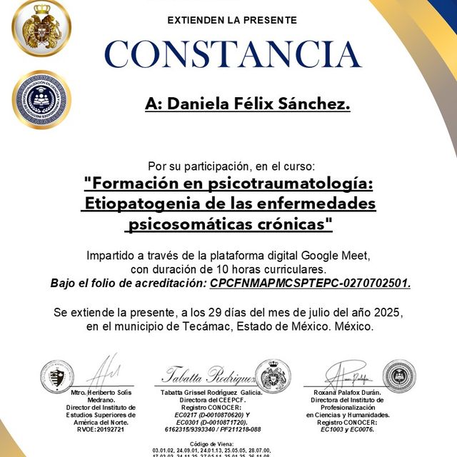 Ampliar imagen: certificate 17