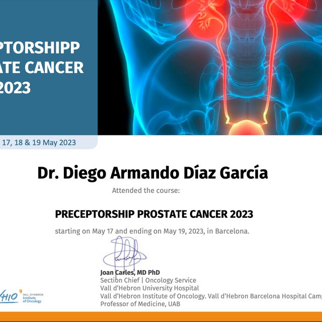 Ampliar imagen: certificate 14