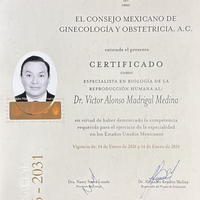 Ampliar imagen: certificate 3