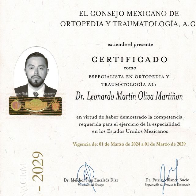 Ampliar imagen: certificate 1