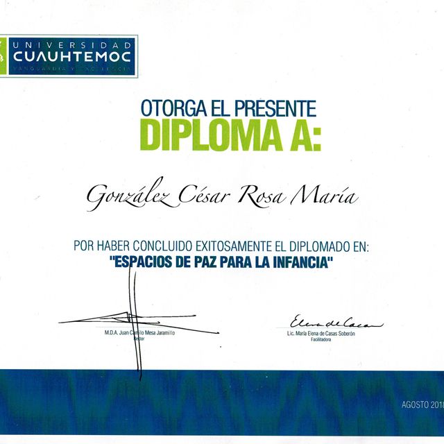 Ampliar imagen: certificate 15