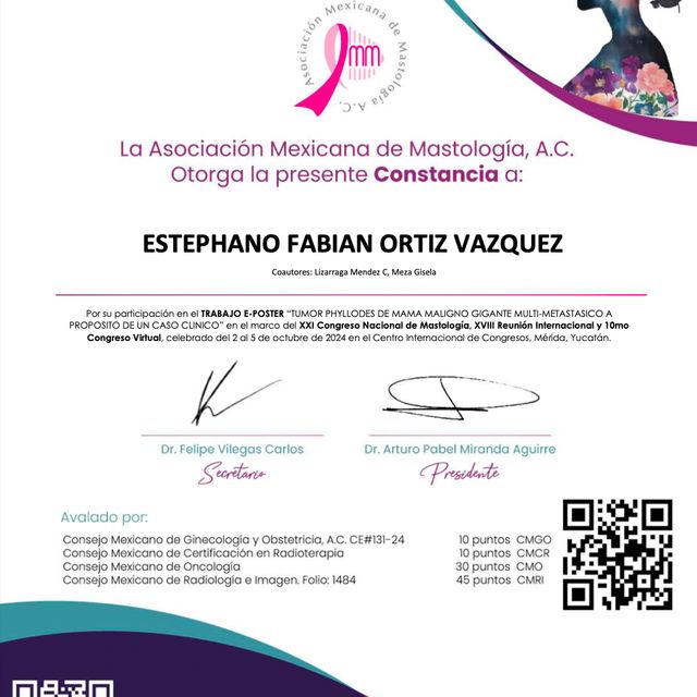 Ampliar imagen: certificate 5