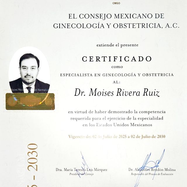 Ampliar imagen: certificate 3