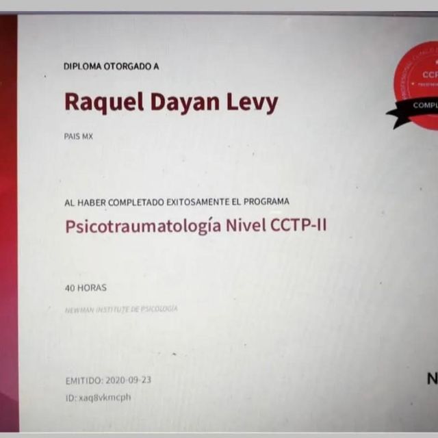 Ampliar imagen: certificate 2