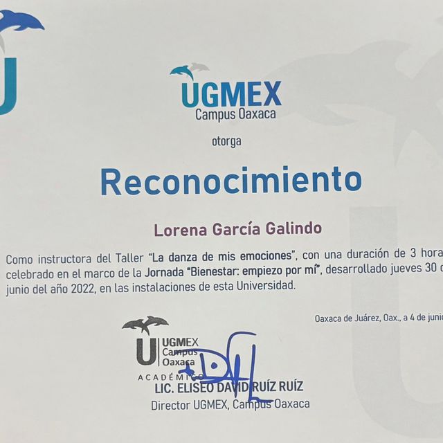 Ampliar imagen: certificate 13