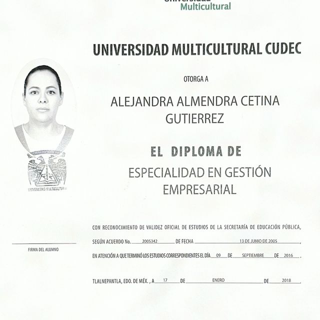Ampliar imagen: certificate 2