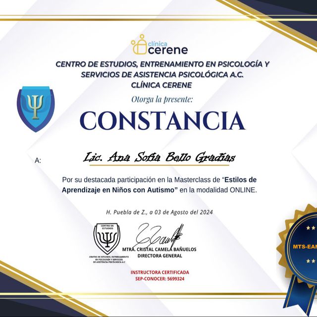 Ampliar imagen: certificate 3