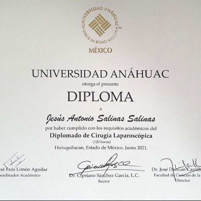 Ampliar imagen: certificate 4