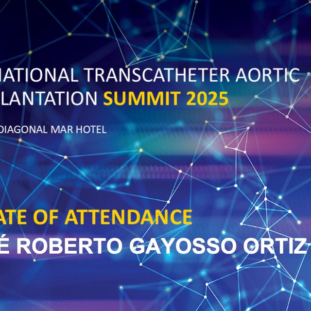 Ampliar imagen: certificate 7