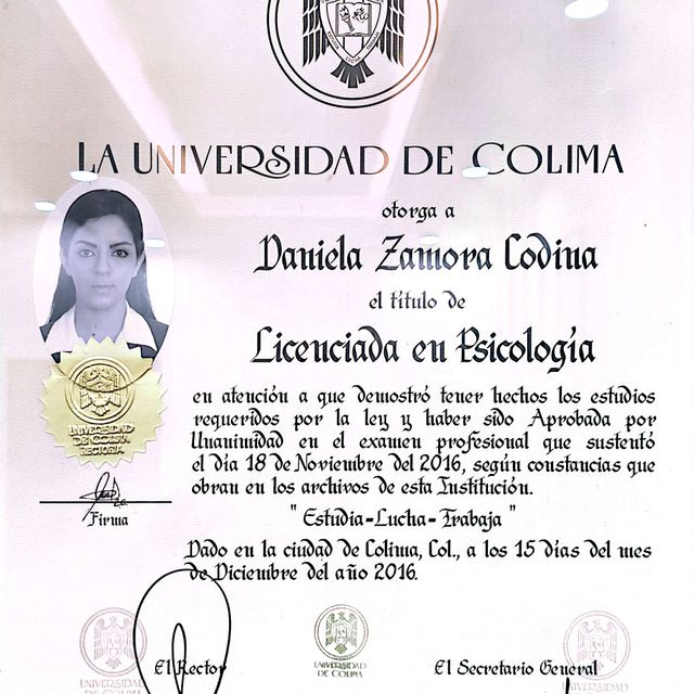 Ampliar imagen: certificate 1