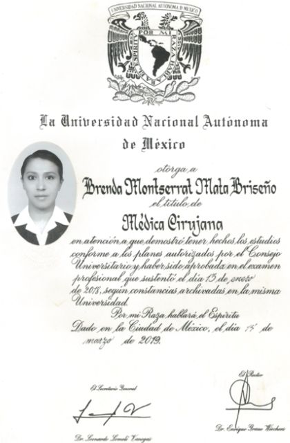 Ampliar imagen: certificate 3