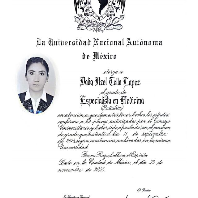 Ampliar imagen: certificate 3