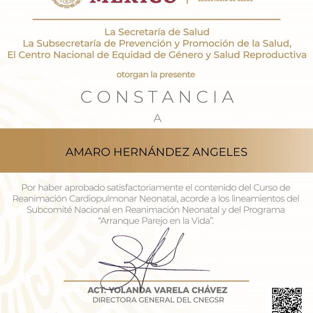 Ampliar imagen: certificate 4
