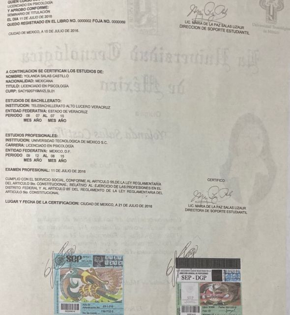 Ampliar imagen: certificate 7