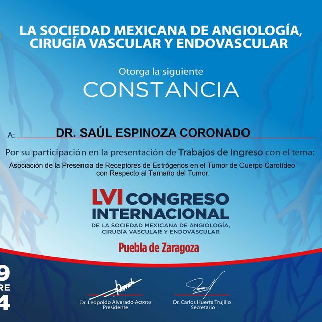 Ampliar imagen: certificate 5