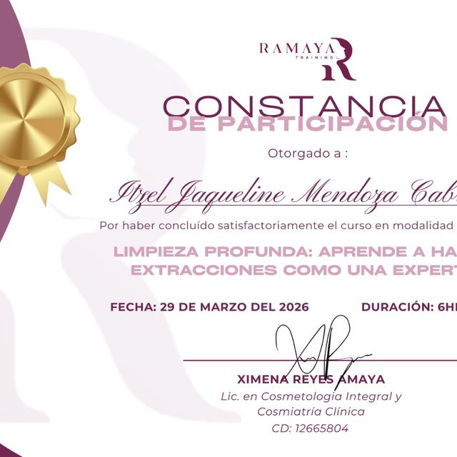 Ampliar imagen: certificate 2