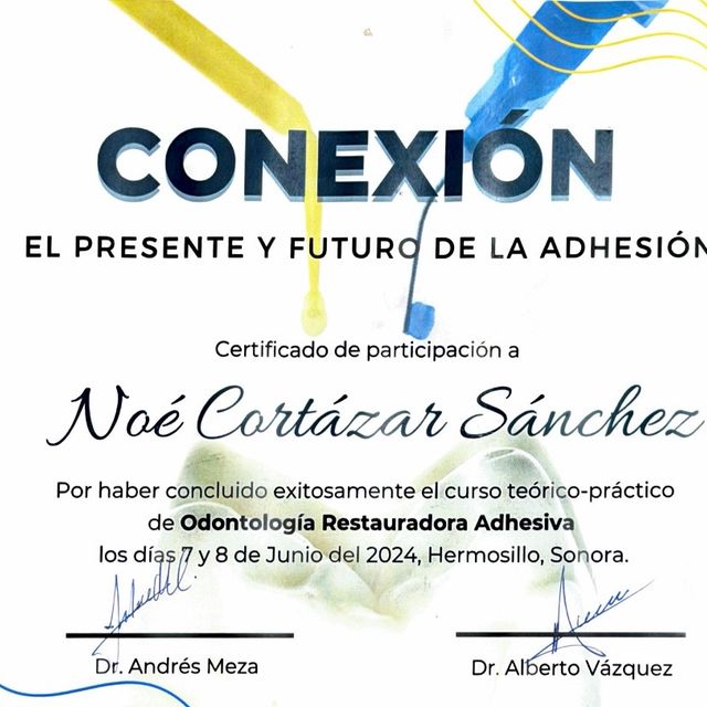 Ampliar imagen: certificate 3