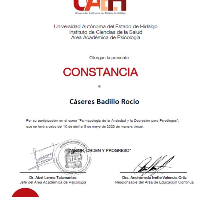Ampliar imagen: certificate 15