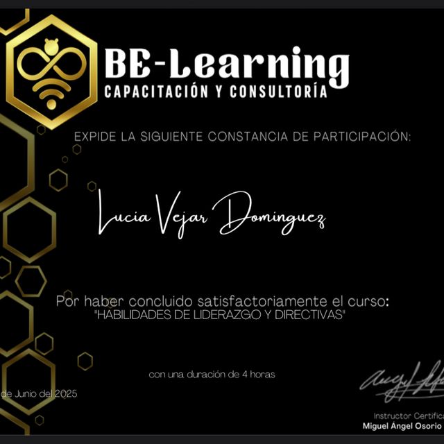 Ampliar imagen: certificate 9